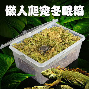 乌龟冬眠用品龟过冬椰土泡发苔藓草垫材乌龟保温饲养箱乌龟冬眠箱