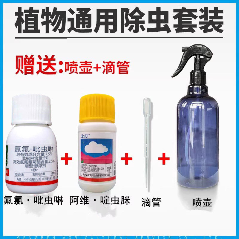 幸福树发财树柠檬树铁树天堂鸟巴西木龟背竹绿植物打灭除杀虫剂药