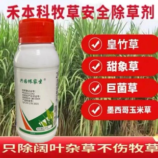 牧草除草剂墨西哥玉米草药甜象草皇竹草巨菌草除草草坪专用除草剂