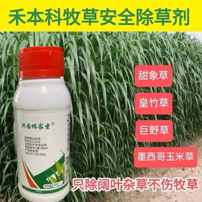 牧草除草剂皇竹草甜象草除草剂巨菌草墨西哥玉米草牧草专用除草剂