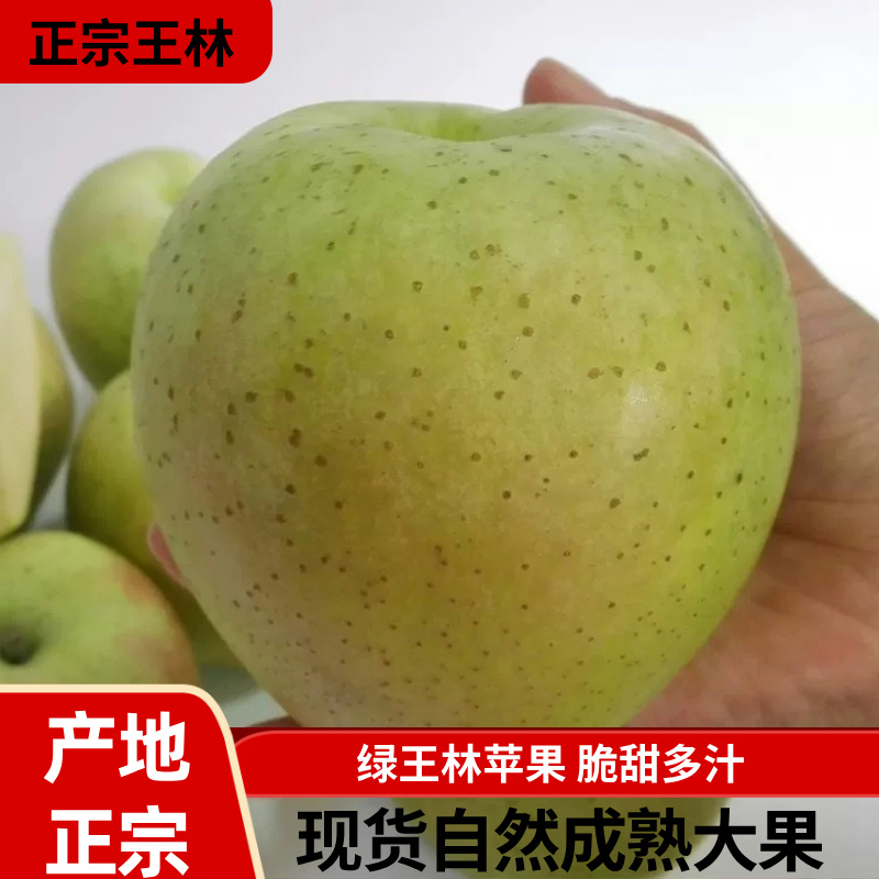 正宗大连王林不不套袋绿王林青苹果新鲜时令水果脆甜多汁斑点苹果