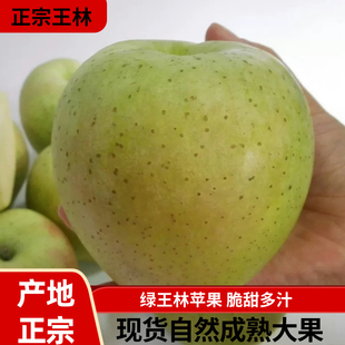 正宗大连王林不不套袋绿王林青苹果新鲜时令水果脆甜多汁斑点苹果