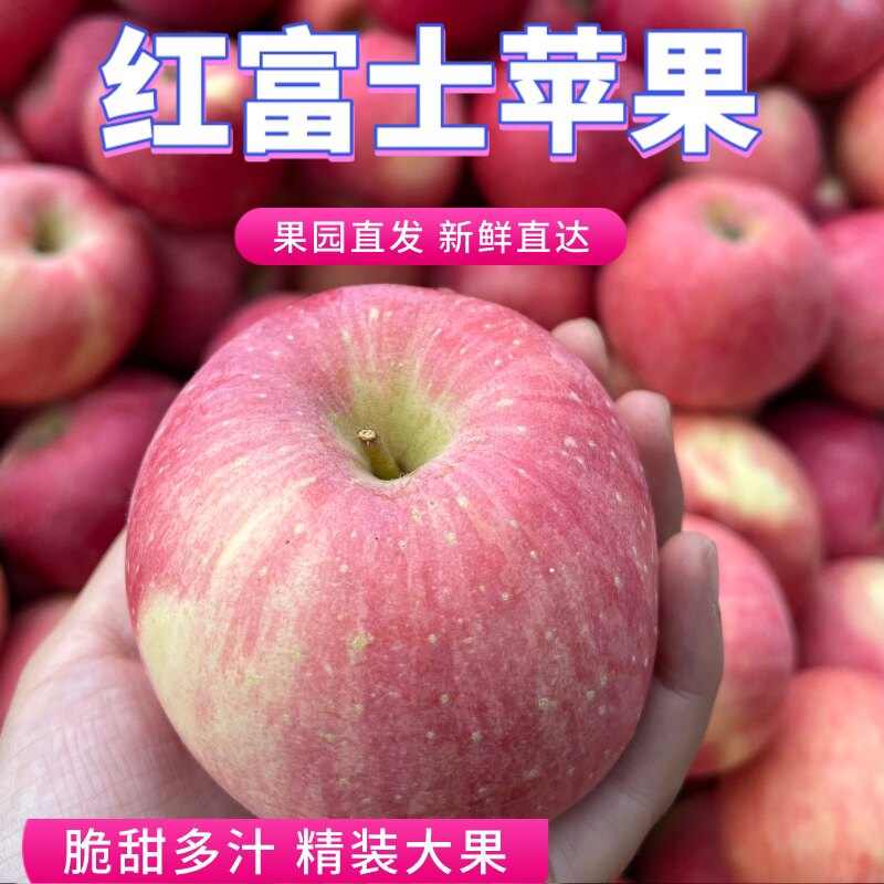 大连红富士苹果脆甜多汁整箱5斤时令生鲜 新鲜水果 整箱批发晚熟,水产肉类/新鲜蔬果/熟食,苹果,淘宝优惠券,粉丝福利购,淘宝优惠卷