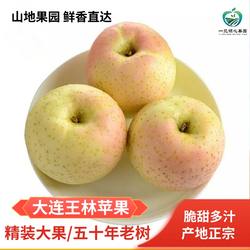 正宗大连王林苹果红翡王林非青森水蜜桃甜脆多汁雀斑苹果新鲜水果