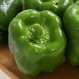 大果甜椒秧苗种籽辣椒苗高产红黄绿方椒圆椒四季盆栽蔬菜种苗