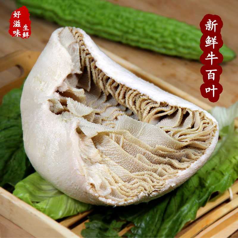 新鲜 牛百叶 500克 百叶 牛杂 千层 火锅食材  包邮
