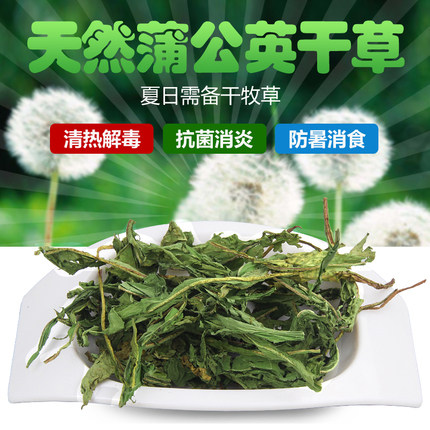 蒲公英干草兔草豚鼠龙猫干草宠物保健牧草清热解毒抗菌消炎100克