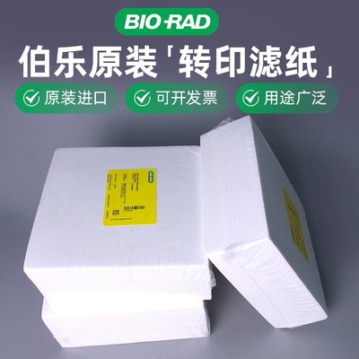 Western blot 蛋白转印滤纸 WB转膜滤纸 湿转1mm厚 半干转3mm伯乐