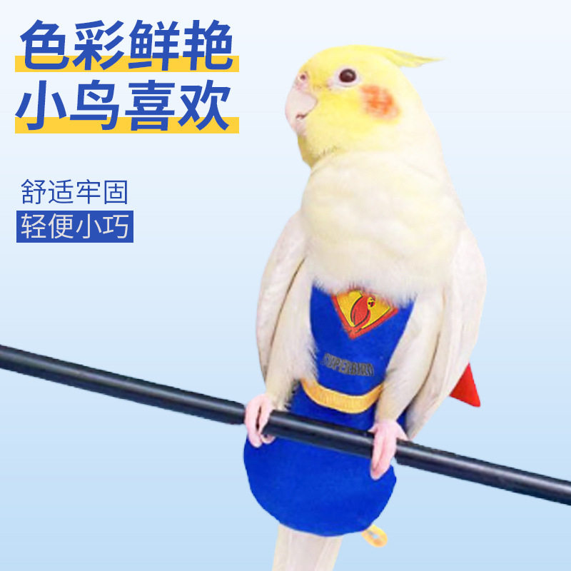 鹦鹉衣服小鸟用尿不湿屎兜尿裤服装玄风虎皮牡丹凯克小太阳飞行服,宠物/宠物食品及用品,鸟禽服饰,淘宝优惠券,粉丝福利购,淘宝优惠卷