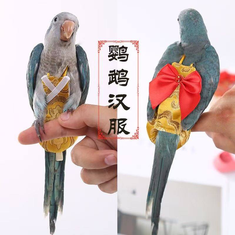 鹦鹉衣服飞行衣小鸟虎皮玄风小太阳屎兜尿不湿尿裤牵引放飞绳用品,宠物/宠物食品及用品,鸟禽服饰,淘宝优惠券,粉丝福利购,淘宝优惠卷