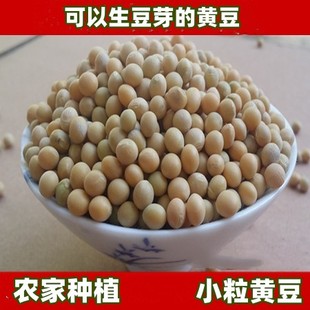 笨大豆小黄豆 大豆 可生豆芽磨豆浆500g 笨黄豆 农家自种原生态