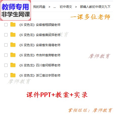 新部编版语文九下《变色龙》公开课课件ppt教案视频教师用