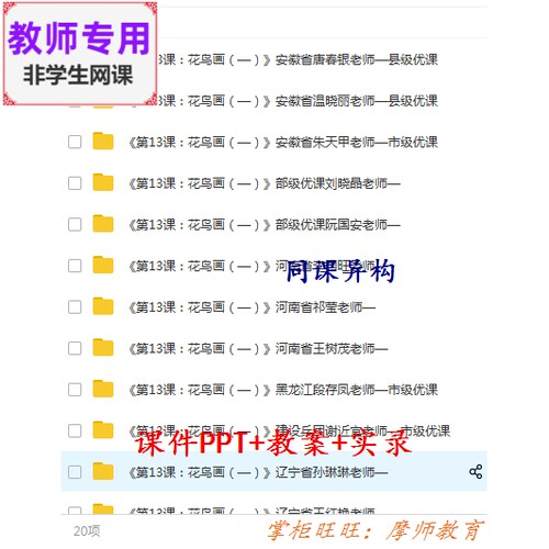 人美版美术五下《花鸟画一》公开课全套课件教案PPT视频教师用