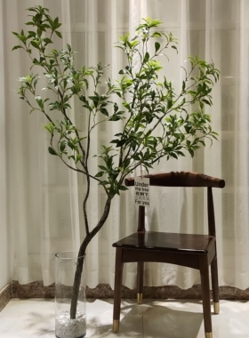 仿真马醉木北欧装饰绿植