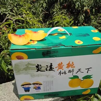正宗炎陵黄桃一级大果1礼盒装
