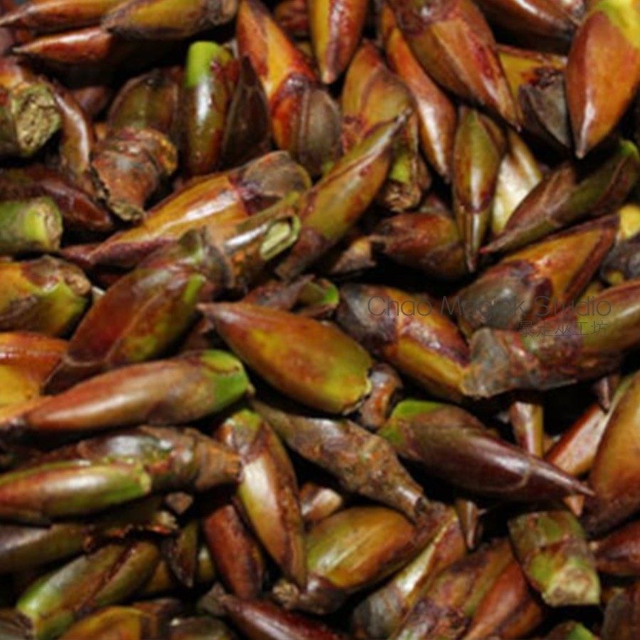 欧白芷根 基列香脂 gilead balm  干草根 调香材料 干品 浸泡油