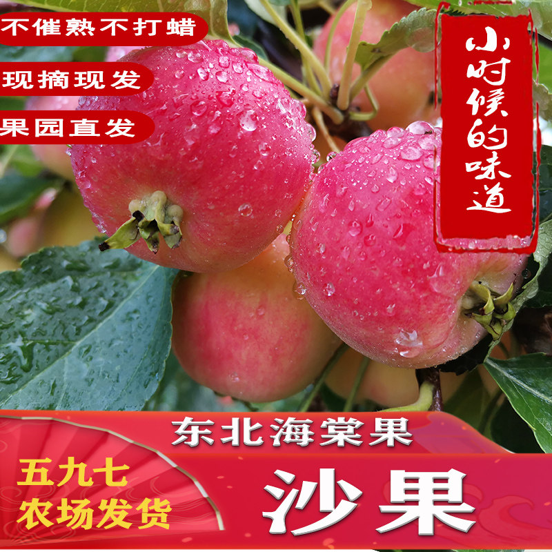 东北老式沙果酸甜脆海棠果新鲜孕苹果