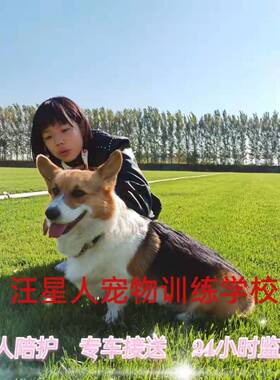 北京宠物狗狗寄养单间人犬同住家庭代养长期视频监控上门接送河北