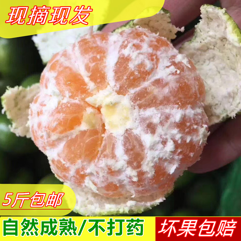 新鲜桔子丽水新鲜水果橘子早熟薄皮蜜橘青桔现摘孕妇水果5斤10斤