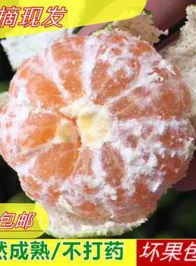 新鲜桔子丽水新鲜水果橘子早熟薄皮蜜橘青桔现摘孕妇水果5斤10斤