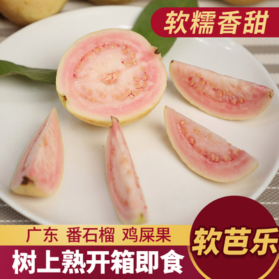 番石榴红心芭乐新鲜水果胭脂红