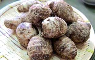 23年11月发货无锡土特产太湖三白马山有机香梗糯芋头毛芋头