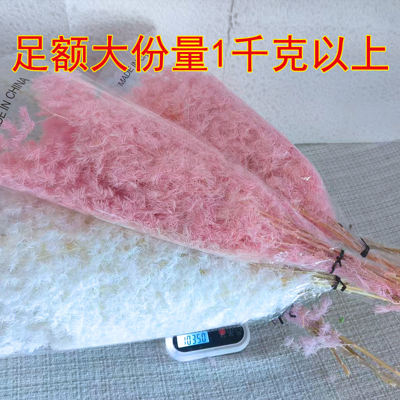 蓬莱松永生花DIY手工高级花材