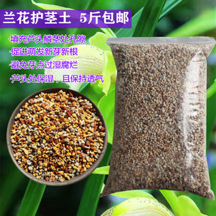 兰花护茎土兰草填充芦头鳞茎保护新芽护心土铺盖盆面颗粒石包邮