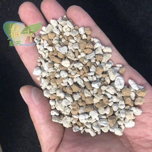 包邮 进阶款 兜大疣银象牙锦贵货营养土6斤 仙人球专用土 纯颗粒