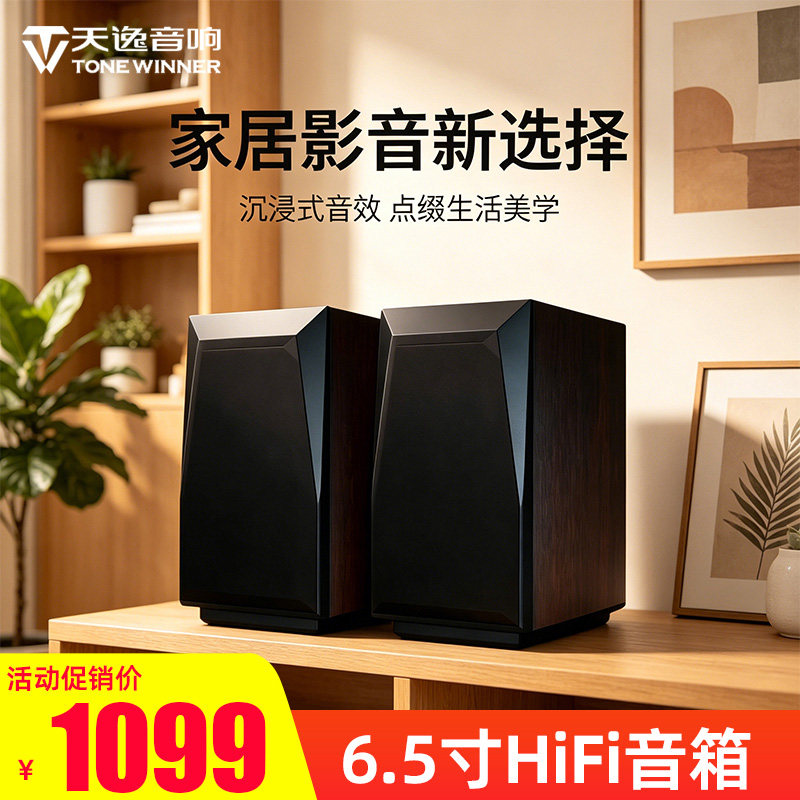 天逸无源HIFI发烧书架音箱