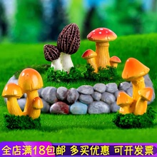 苔藓微景观仿真彩色蘑菇多肉盆栽造景装饰品配件迷你牛肚菌小摆件