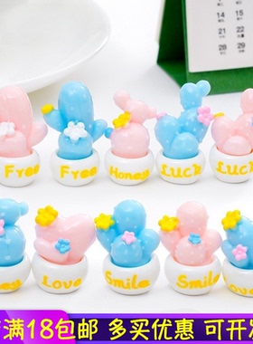 创意粉蓝Luck多肉仙人掌盆栽