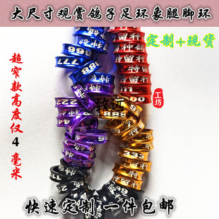 定制元宝鸽环象腿款窄款鸽子脚环激光刻字足环私人圆环元宝观赏鸽