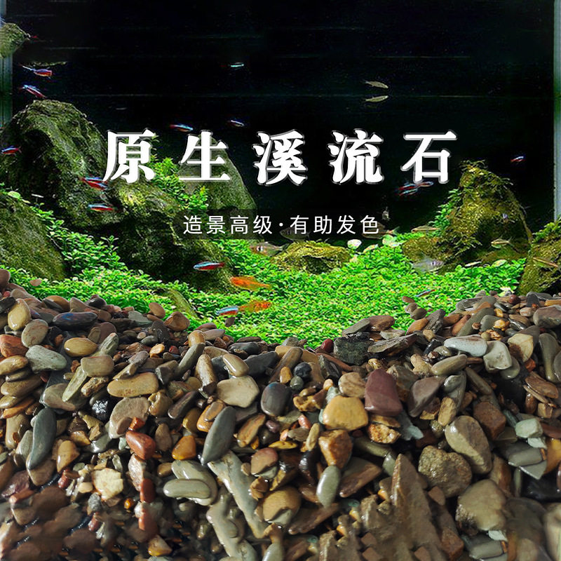 原生鱼缸造景底砂溪流石水草龟缸雷龙鱼草南美缸装饰铺底  溪流砂