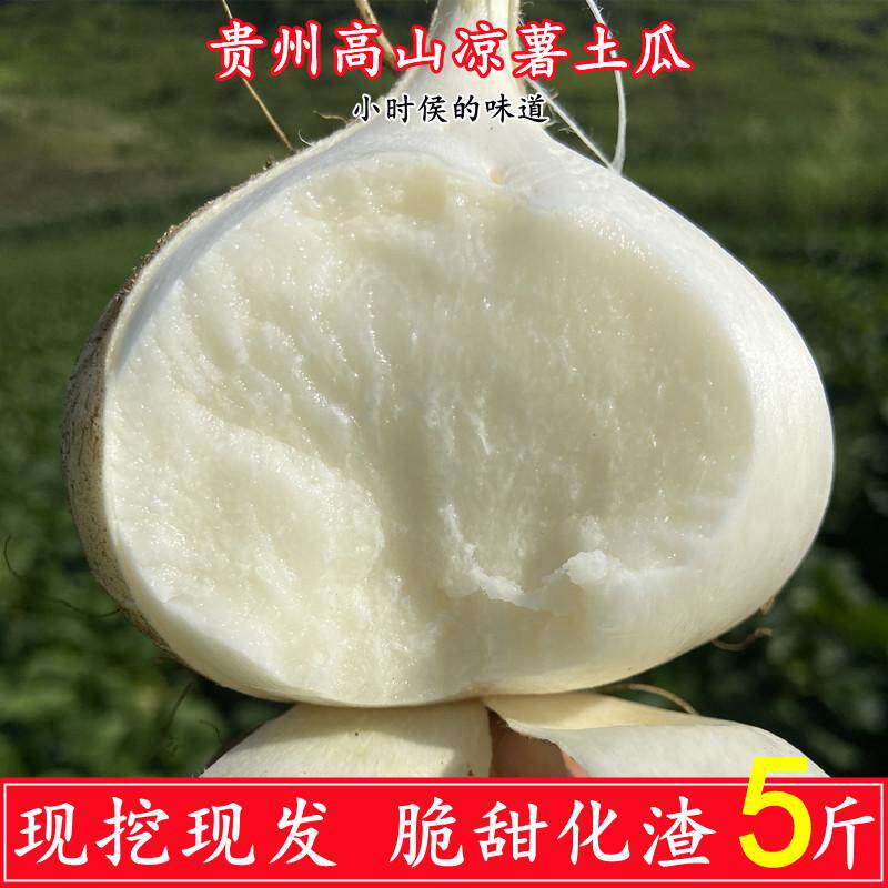 新鲜地萝卜现挖脆甜凉薯