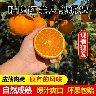 贵州晴隆鸡场红美人果冻橙 新鲜柑橘 水果当季现摘甜橙果冻橙果汁