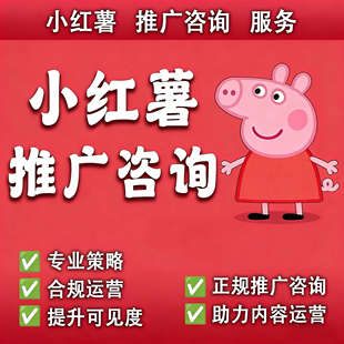 小红xhs书2026推流代投小红薯推广笔记投放作品运营推广xhs推送