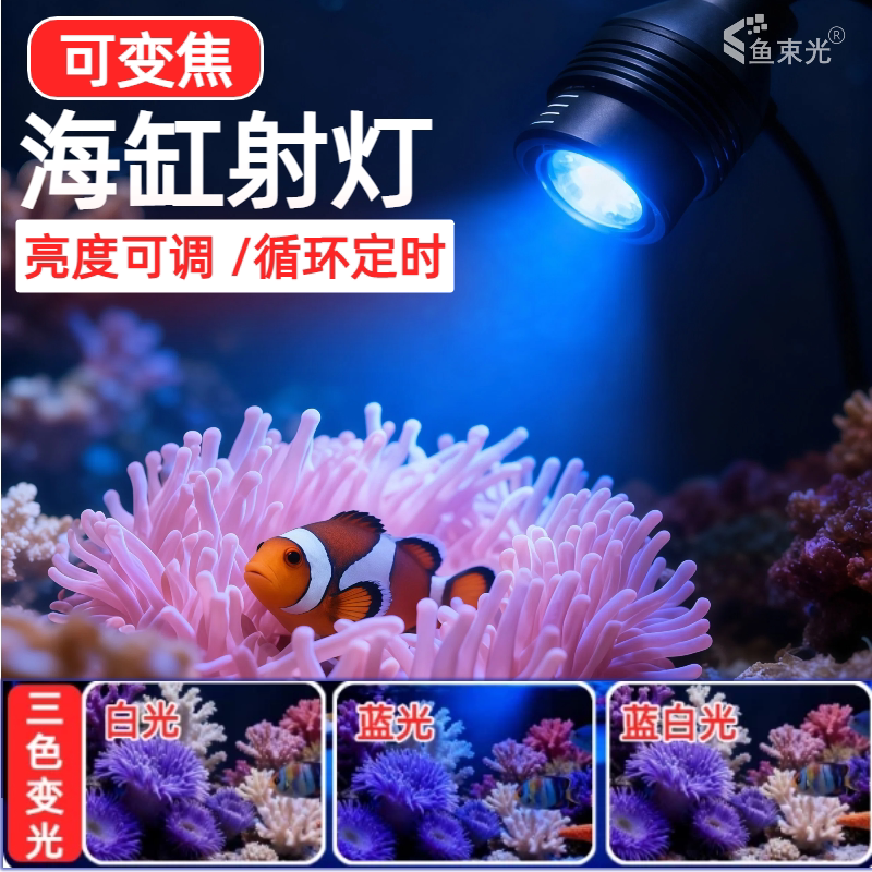 鱼束光I可调焦I海缸珊瑚灯图片