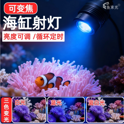 鱼束光I可调焦I海缸珊瑚灯