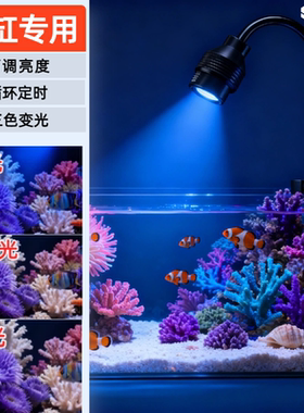 海缸灯led海水鱼缸灯水草小丑鱼珊瑚专用可调焦蓝白补光造景夹灯