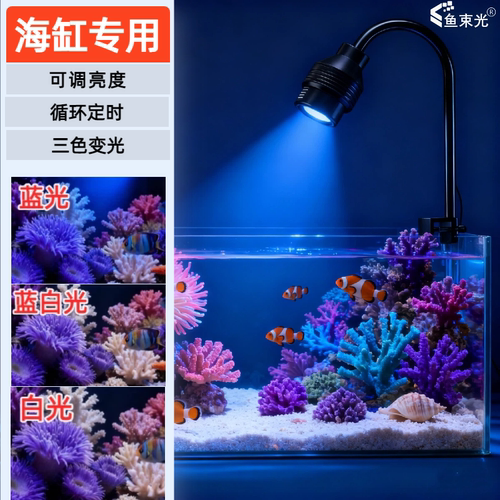 鱼束光小海缸珊瑚海葵专用灯