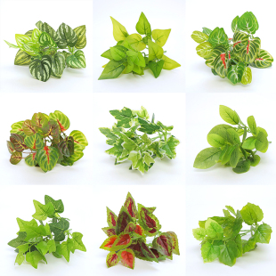 仿真植物假花绿植墙小盆栽插花装 饰叶子客厅餐桌摆设绿萝叶龟背叶