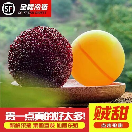 【颗颗精品】正宗仙居东魁大杨梅