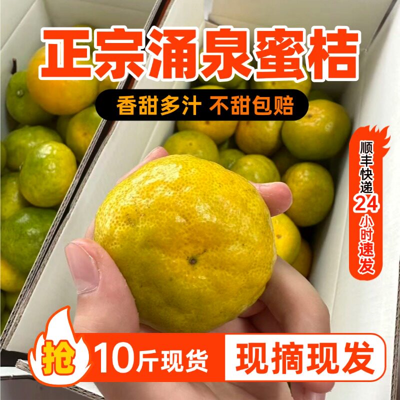 正宗浙江台州涌泉大丰蜜桔无籽青桔子10斤礼盒包邮黄岩无核蜜橘甜