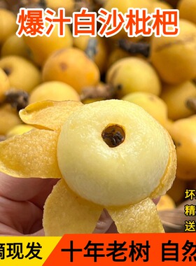 正宗台州白沙大枇杷新鲜应季孕妇水果自然熟精选白玉琵琶大果现摘