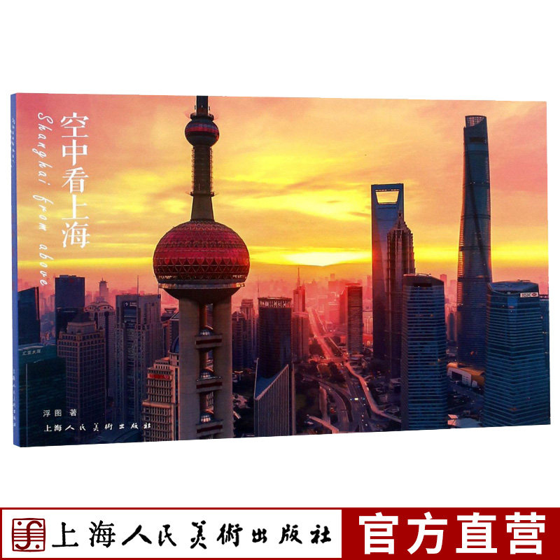 空中看上海 上海都市文化写真城市摄影艺术文化上海城市风光图片及