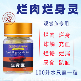 观赏鱼烂身尾鳍缩尾凸眼蒙眼水族锦鲤金鱼斗鱼肠炎炸鳞腹水非兽药