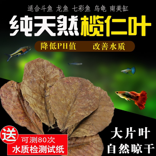 鱼缸乌龟橄榄叶水族降酸性PH值