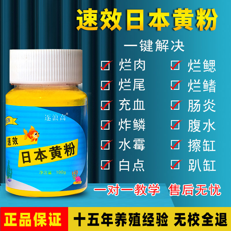 日本黄粉鱼药烂身烂尾