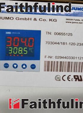 00655125 久茂全新温控器 703044/181-120-23/000 dTRON 304